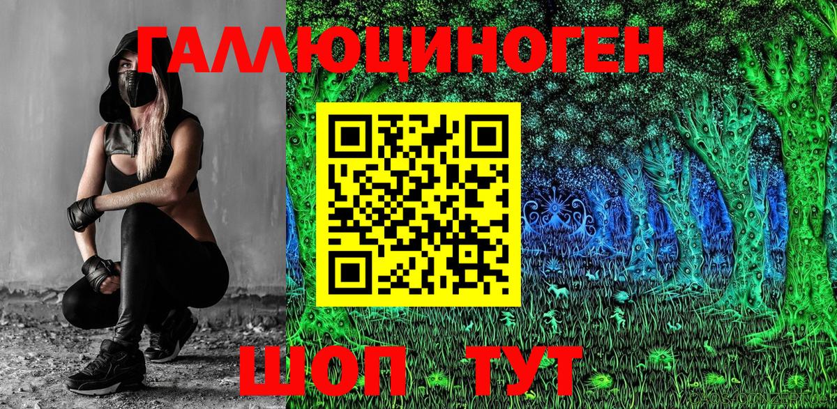 Псилоцибиновые грибы Cubensis  Псилоцибиновые грибы прущие грибы  Волхов  Вход с VPN 
